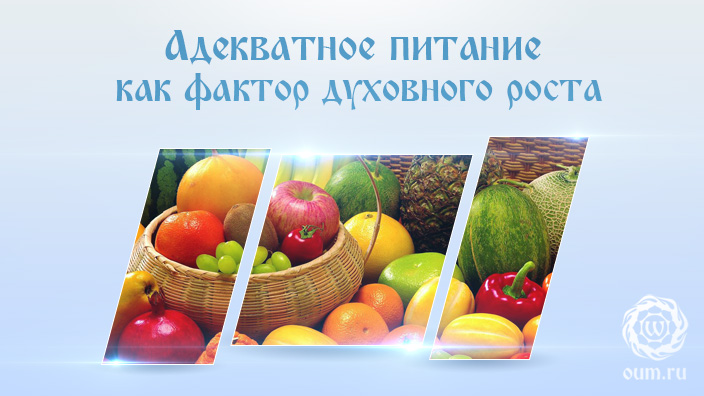 Какие продукты кушать при правильном питании