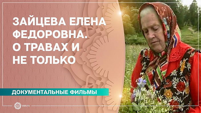 Лечебные свойства и противопоказания корня девясила.